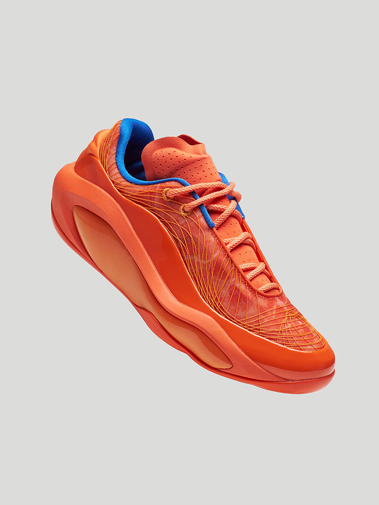 nate robinson sneakers